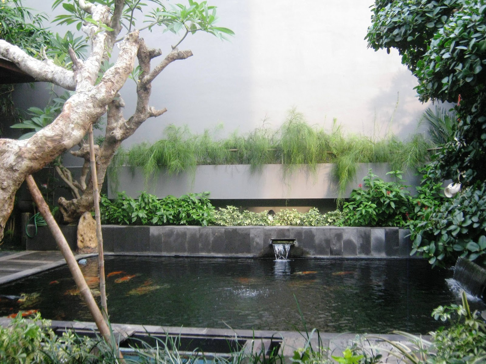 Membuat Kolam Ikan Minimalis - Model Rumah Minimalis Desain Terbaru Modern