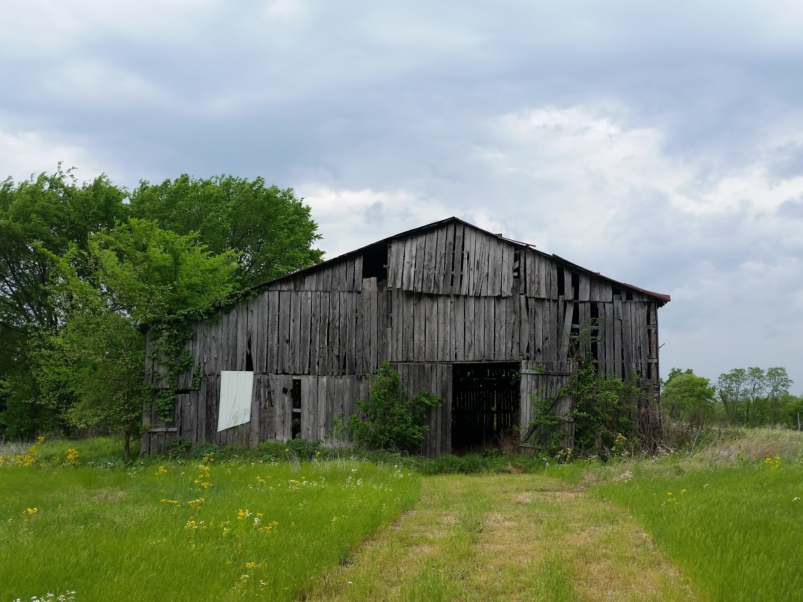 Kentucky's Tobacco Barn Craftsman Always On Liberty
