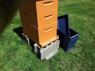 traditional bee hive
