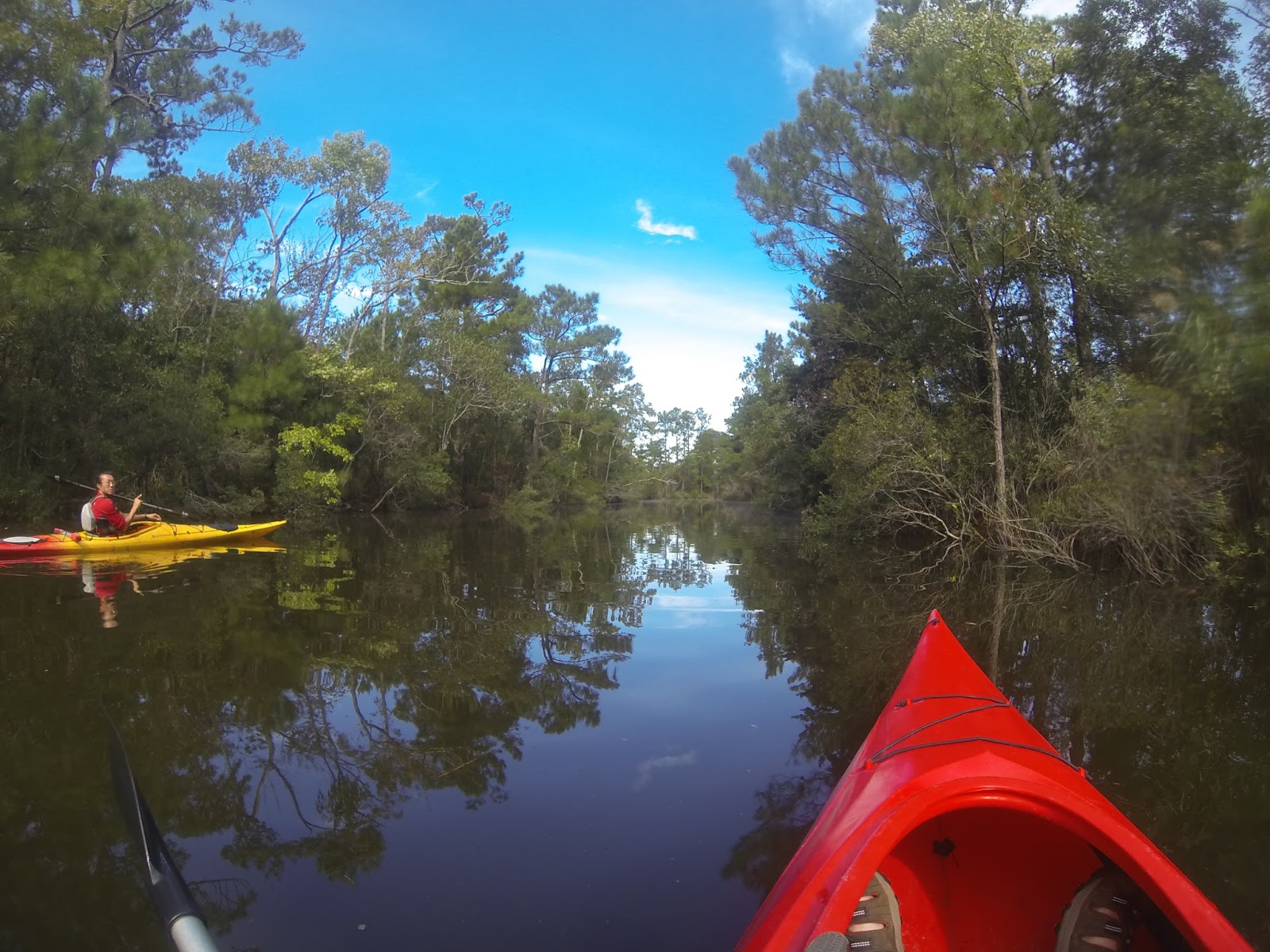 American Travel Journal Kayaking in Kitty Hawk Woods Coastal Reserve