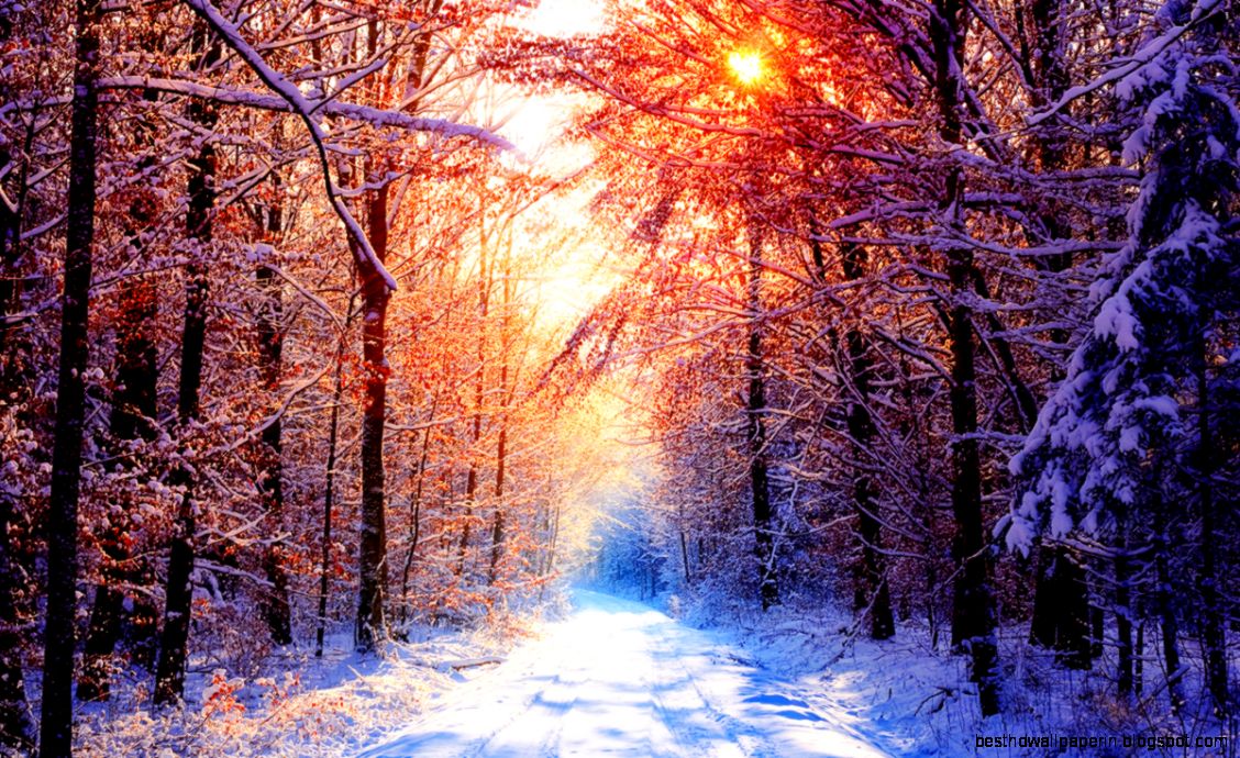 Winter Wallpaper III by SvenMueller on DeviantArt