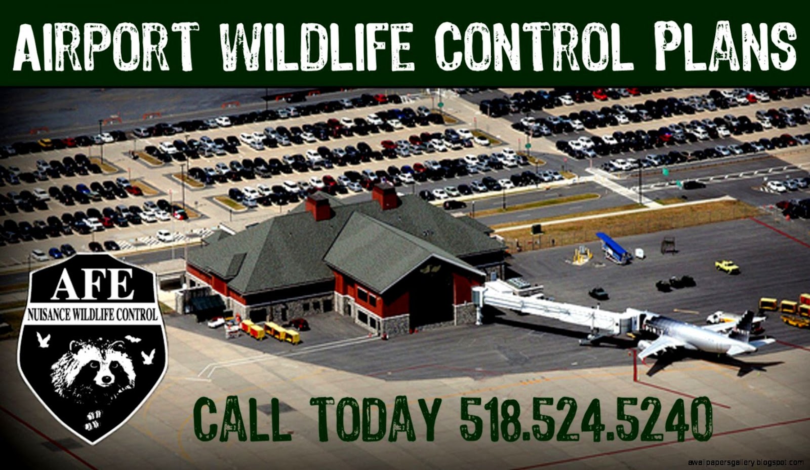 Wildlife Control Services Wallpapers Gallery
