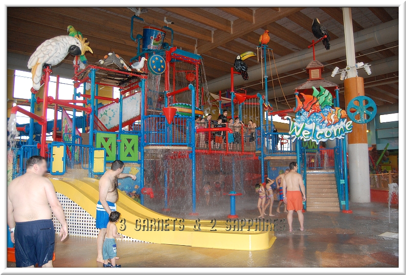 3 & 2 Sapphires Our CoCo Key Staycation All About the Family