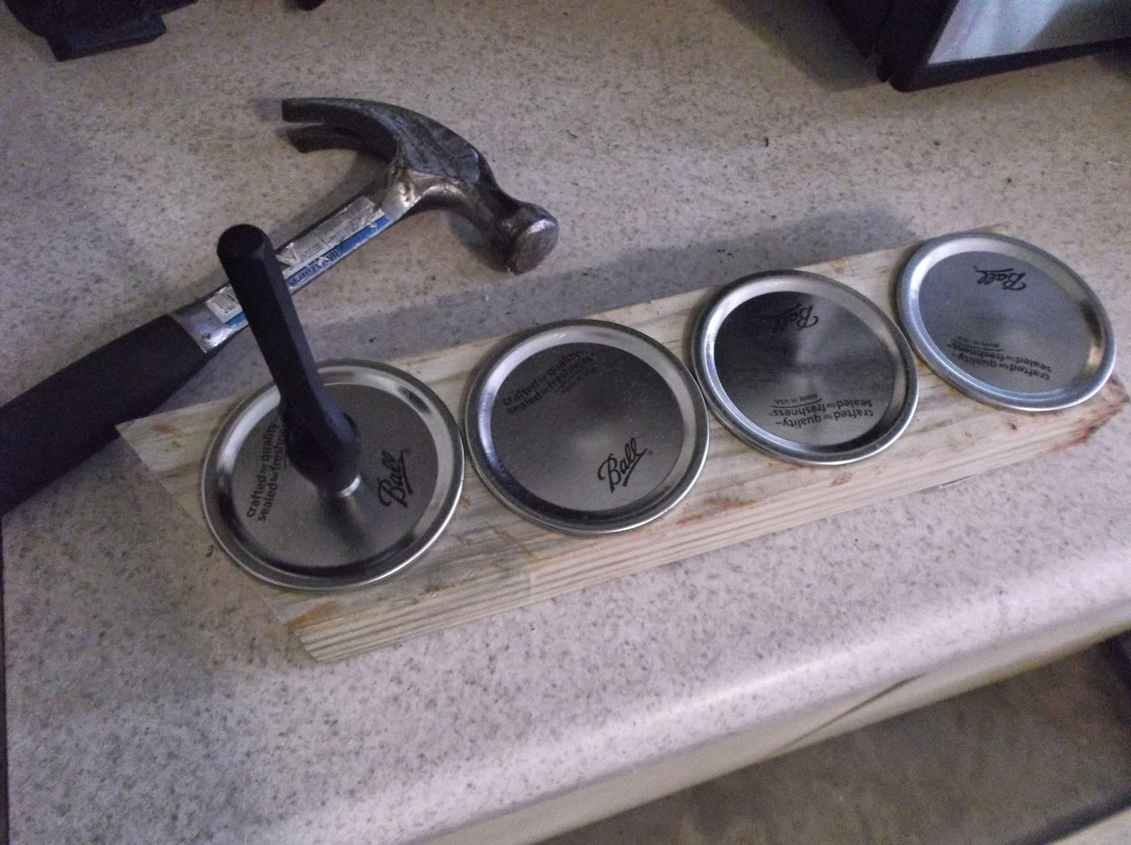 Noelle likes Good Food DIY Airlock for Lactofermentation