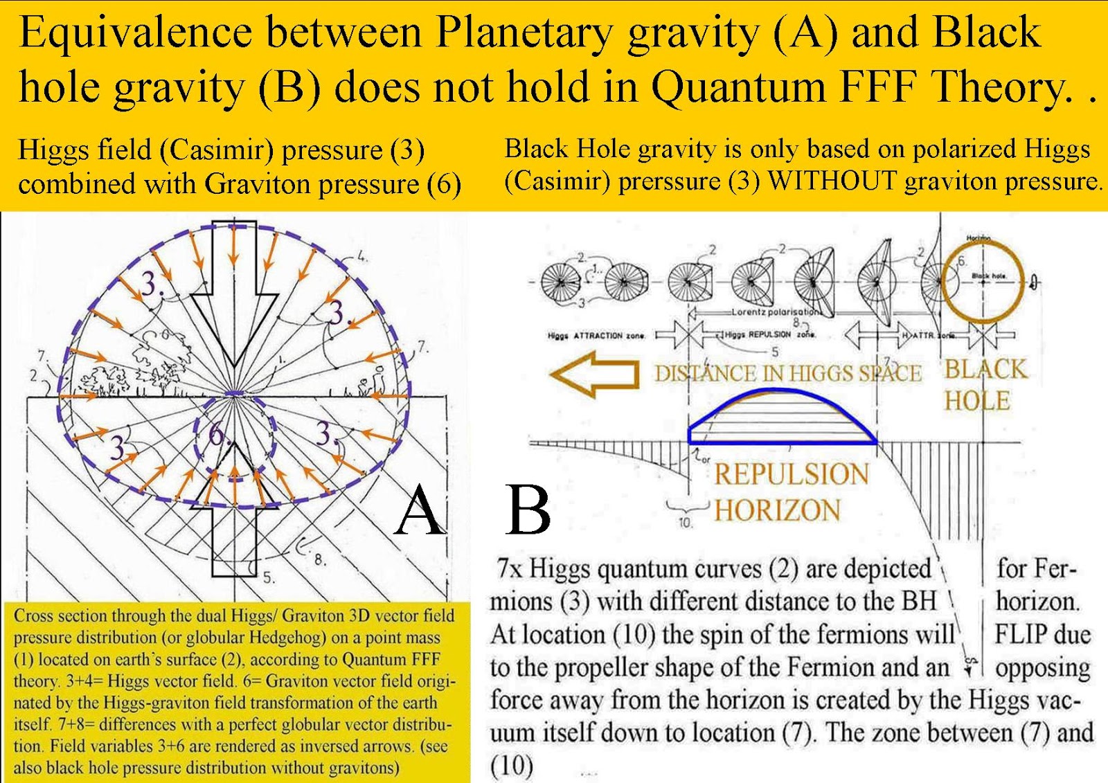 Quantum Function Follows FORM, (QFFF Theory) An Entangled Mirror