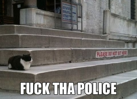fuck-the-police-cat.png