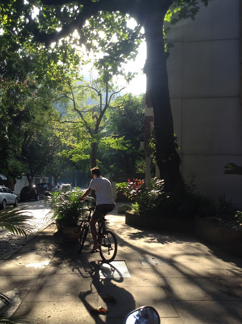 Bike and trees