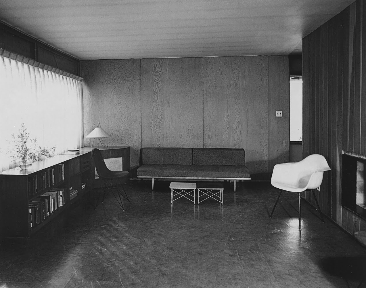 Paradise Backyard Crombie Taylor