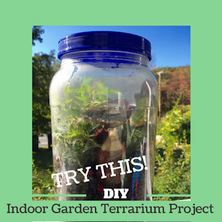 Try This! DIY Indoor Garden Terrarium Project