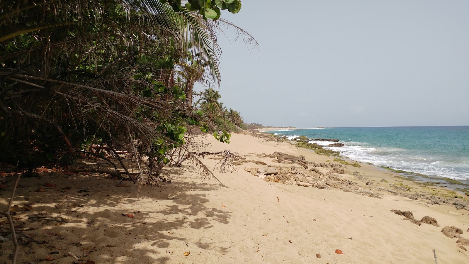 PUERTO RICO GALLERY