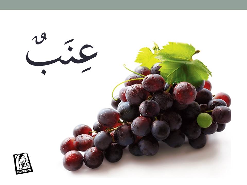 Anggur dalam bahasa arab