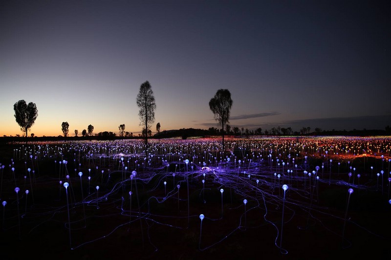 Field of Light Uluru | Bruce Munro