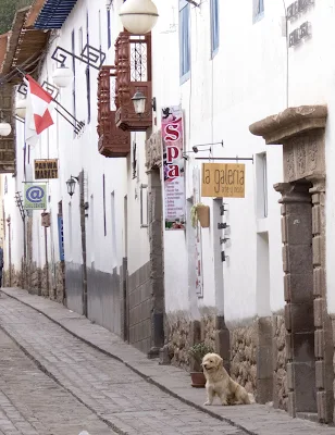 Things you'll see in 3-days in Cusco: Dog on an empty street with white-washed buildings