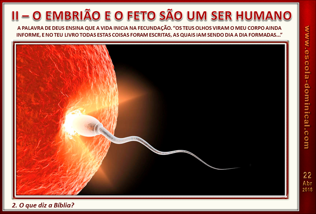 Adalia Helena: Slides: Lição 4 - Ética Cristã e Aborto: Adultos