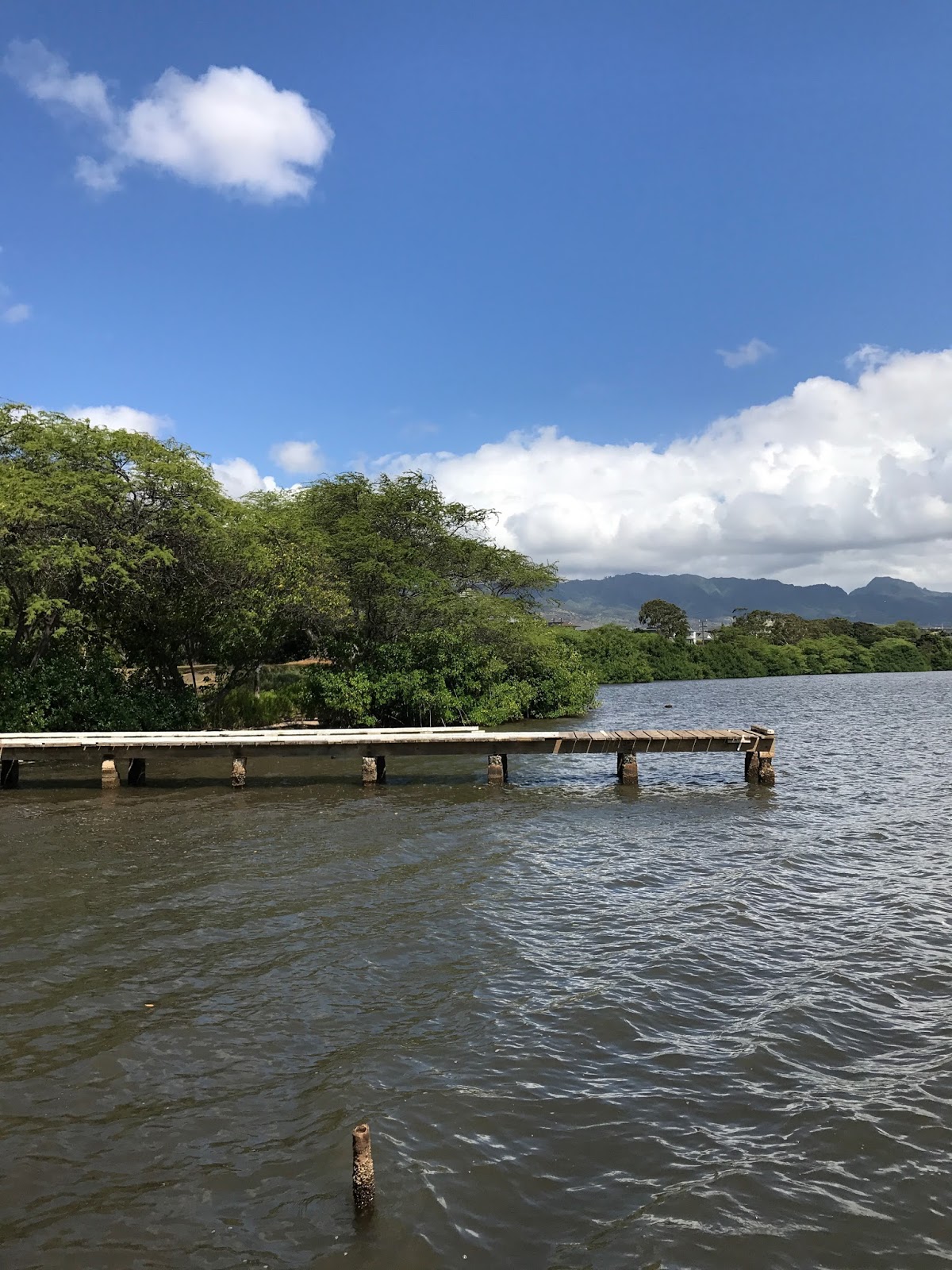 Ewa Exploration West Loch Community Shoreline Park