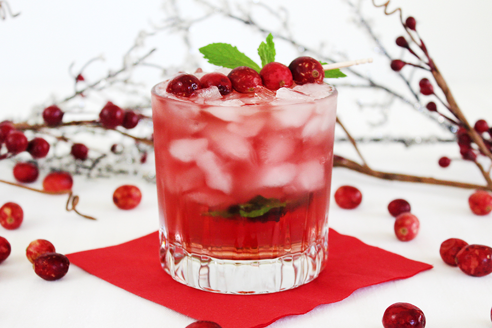 Southern Mom Loves Cranberry Ginger Fizz Holiday Cocktail