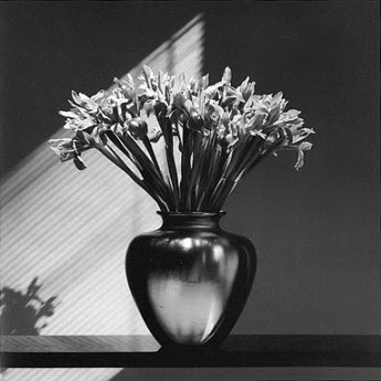 El prólogo de Patti Smith robert mapplethorpe flores 3