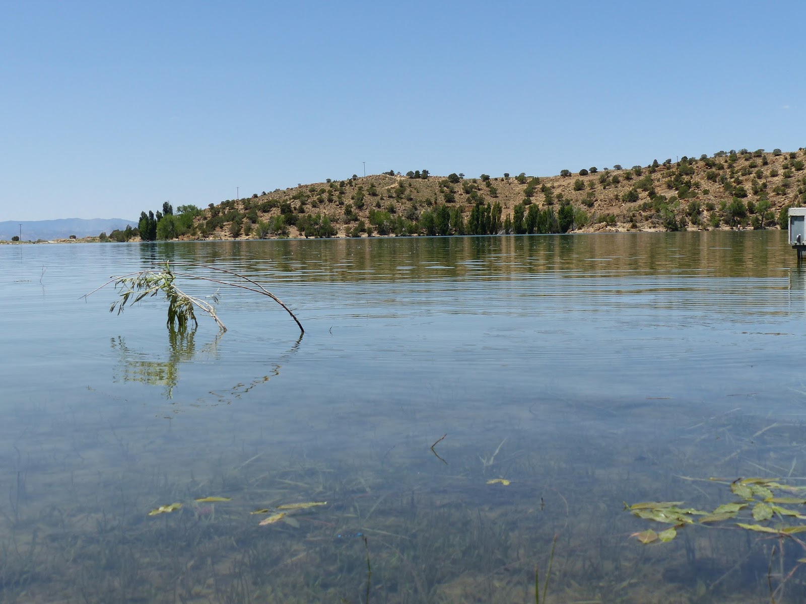 Land Cruising Adventure Palisade State Park Utah