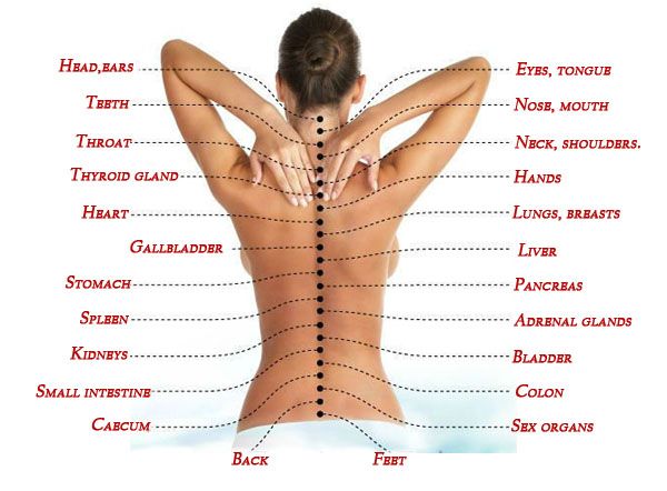 The True Cause Of Pain - How The Spine Is Connected To All Organs