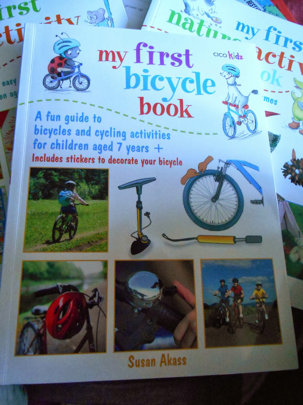 one year on a bike book