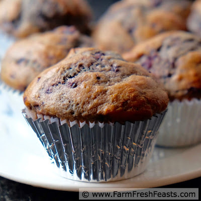 a close up image of a grilled cherry muffin