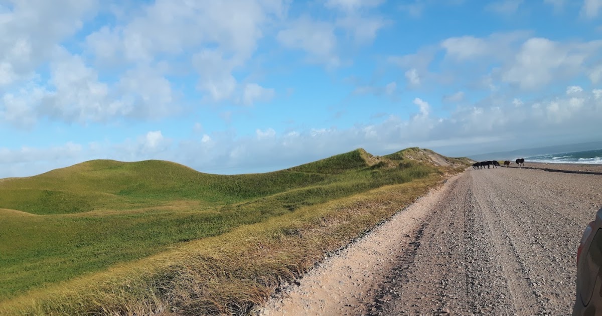 L'ISTHME MIQUELONLANGLADE