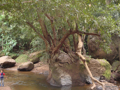 Thommankuthu Waterfall