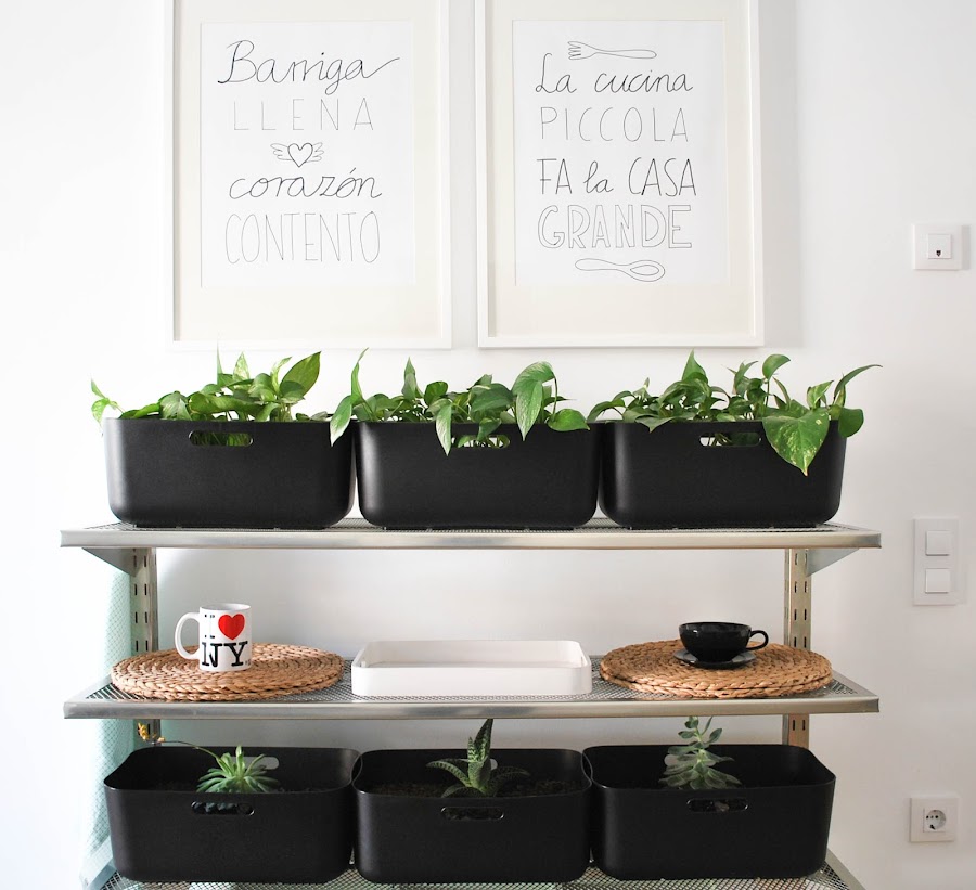  decoración cocina plantas http://www.mylittlebrunch.com/2014/05/my-home-un-rincon-verde-en-mi-cocina.html