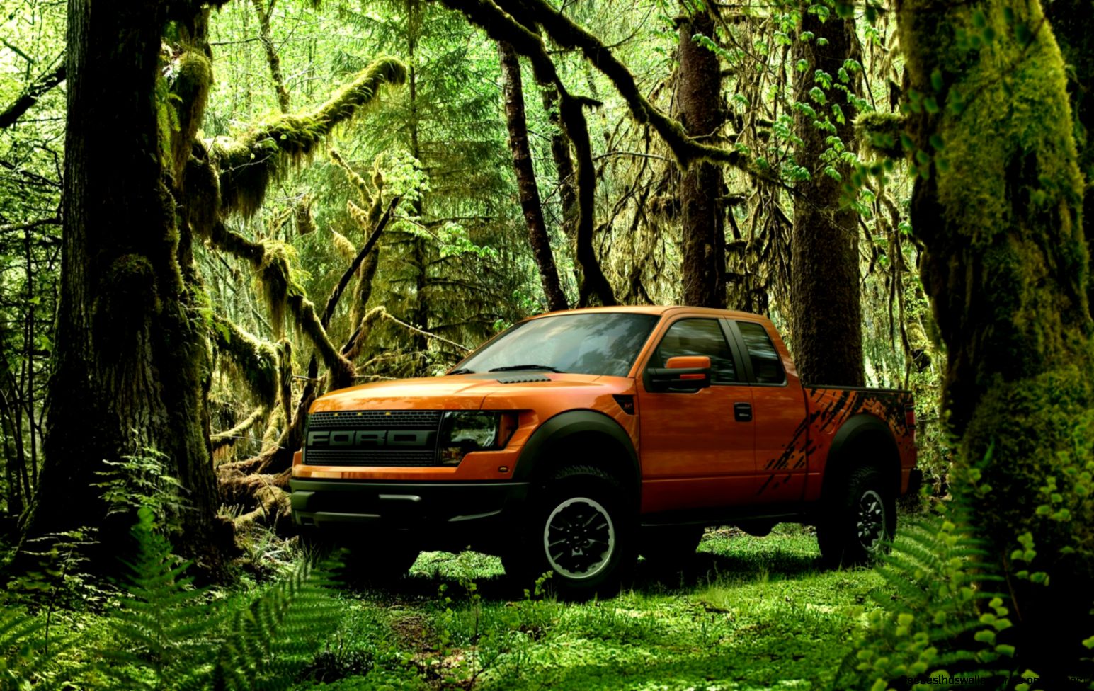 Excellent Ford F 150 SVT Raptor HQ Photos  Worlds Greatest Art Site