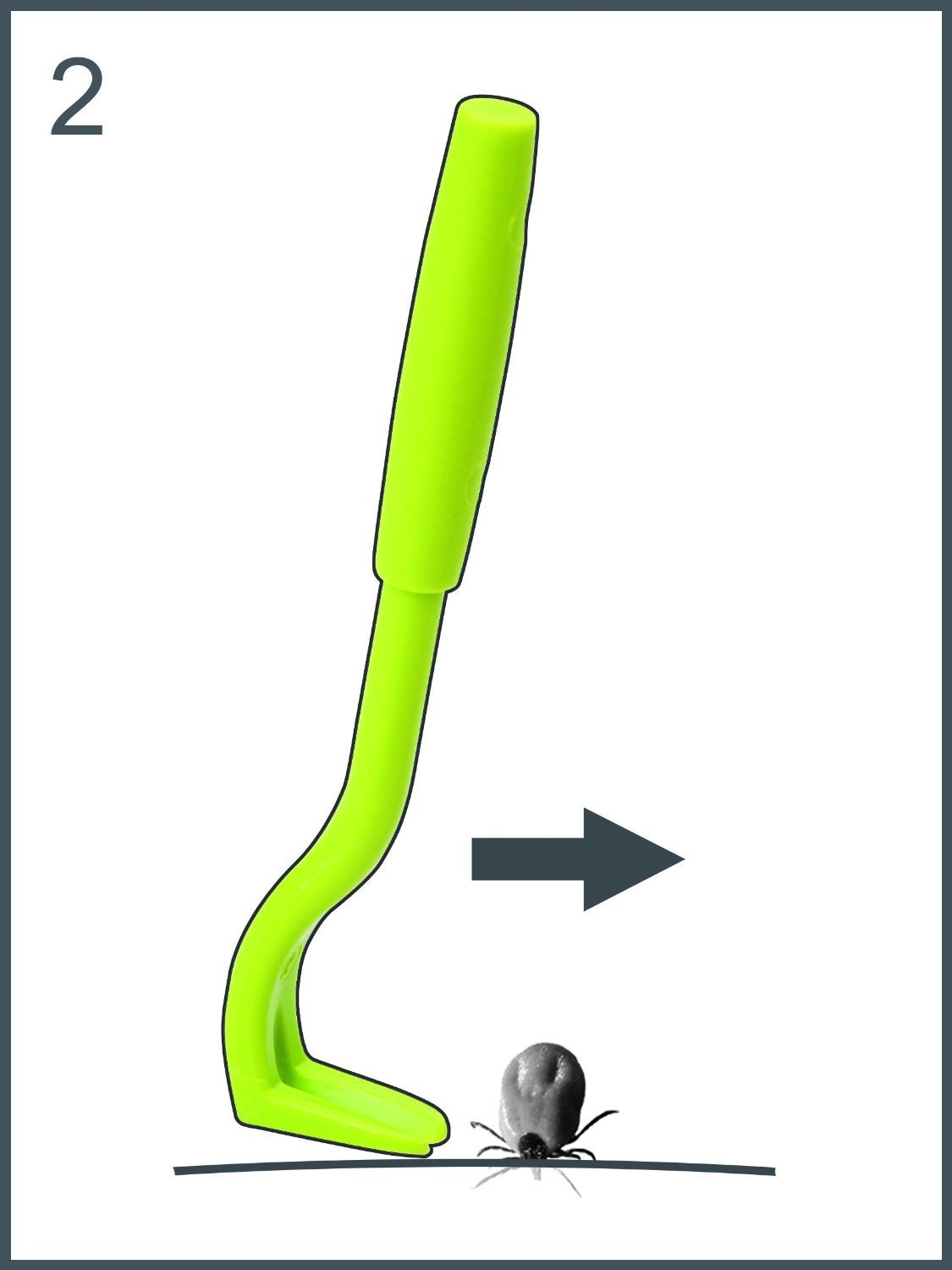 Life Hacks Creative Everyday Life Tips Best Tick Removal Tool for