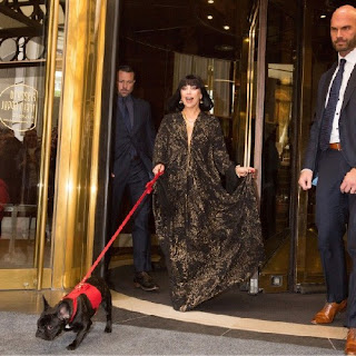 Lady Gaga and her dog Asia Kinney wearing Moshiqa Bijou Leather Dog Harness