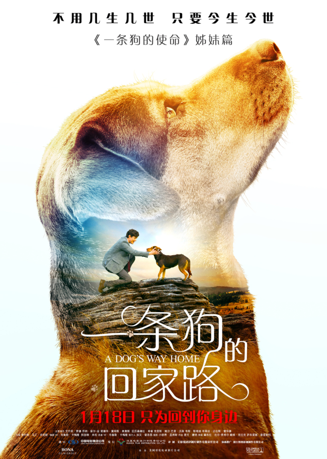 China Entertainment News A Dog S Way Home To Be Released In China On Jan 18