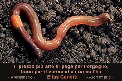 I posti sulla faccia a dermatologi per trattare