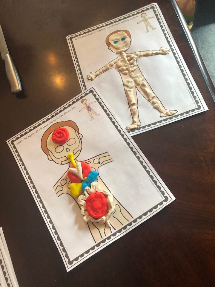 A Wise Woman Builds Her Home Fun Homeschool Project Human Body Play