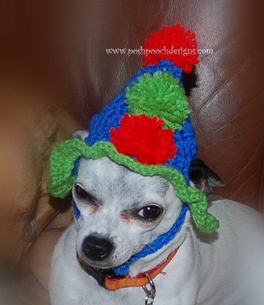 Posh Pooch Designs Dog Clothes Happy Birthday To Maximo