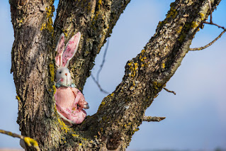 stuffed bunny sitting in a tree