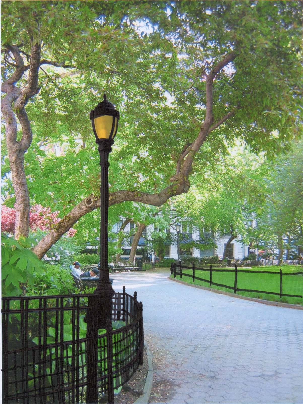everything and anything: lamp post in the park