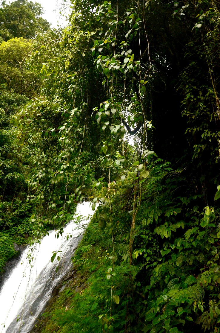 Gitgit twin waterfalls, Bali, Indonesia