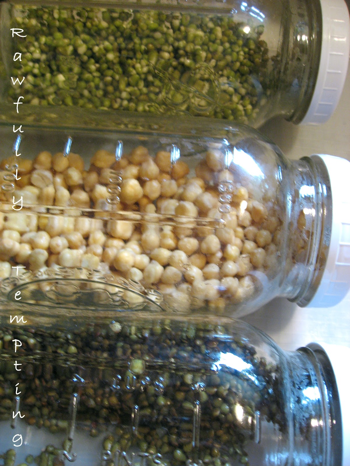 More Sprouts