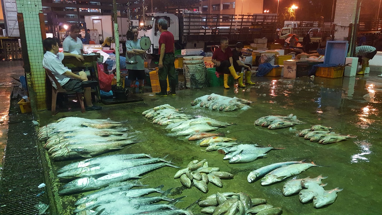 Seeing Singapore Sooner than Never Jurong Fishery Port