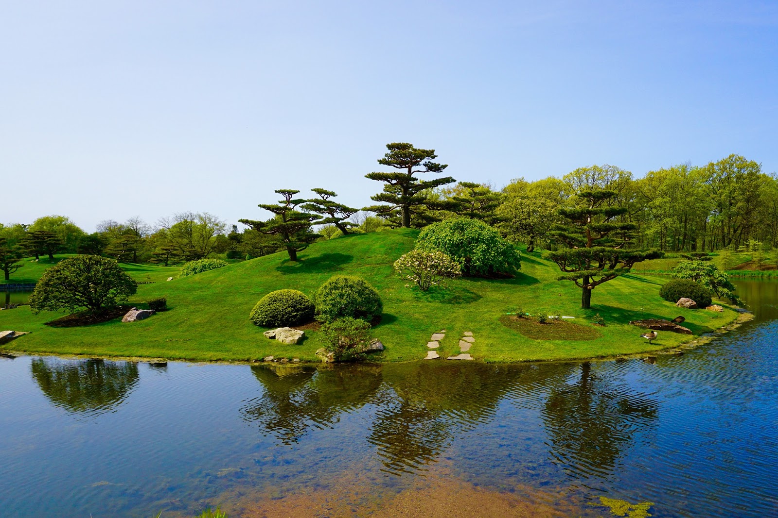 dallas-arboretum-koi-pond2.jpg