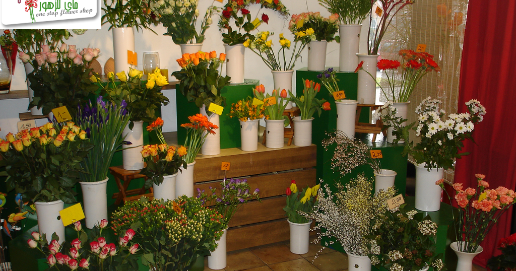 MyFlowers Online Flower Shop