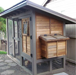 coop chicken spiration cedar attached plans build indoor simple well