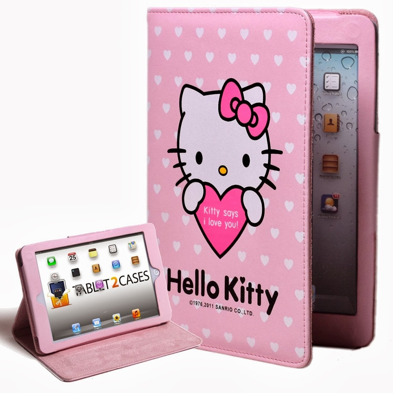 Hello Kitty Themed Apple iPad Mini Folio with Boyfriend (Leather Finish ...