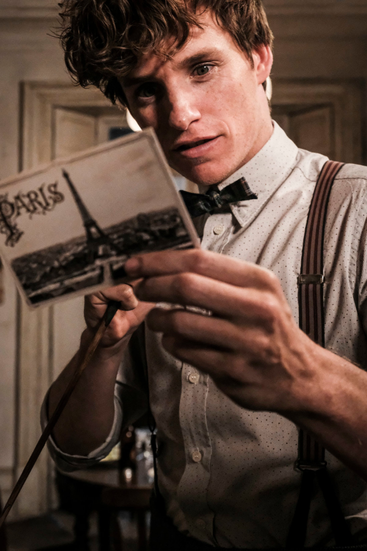 Newt Scamander in Fantastic Beasts and the Crimes of Grindelwald