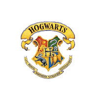Srta. Coruja: Festa 15 Anos Harry Potter