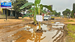 Warga Tanam Pohon Pisang Di Jalan Sutami yang rusak