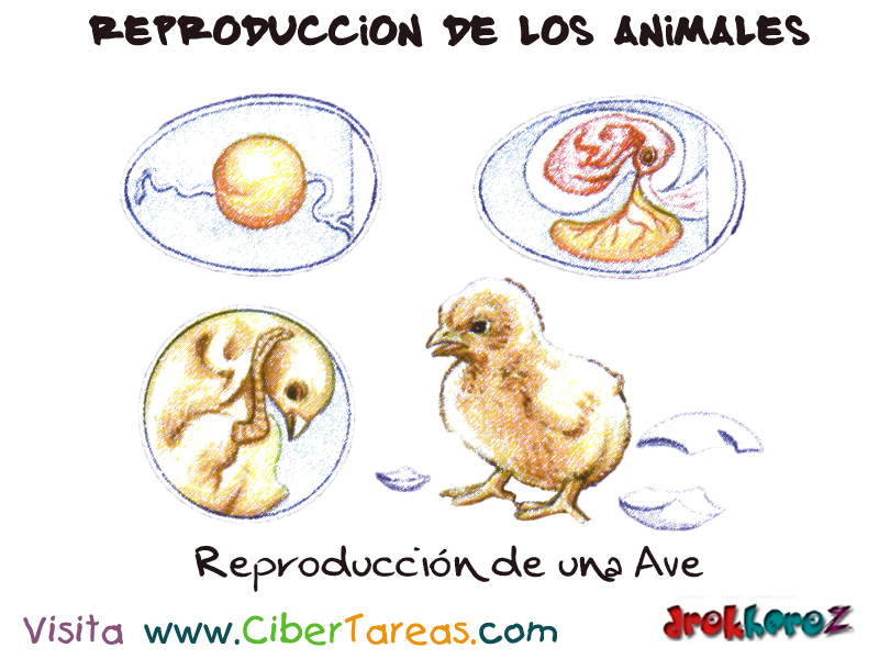 Biologia3 Biologia3