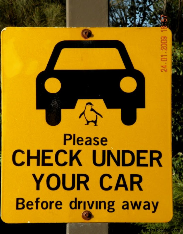 » funny to share » Top 70 Funny Road Signs