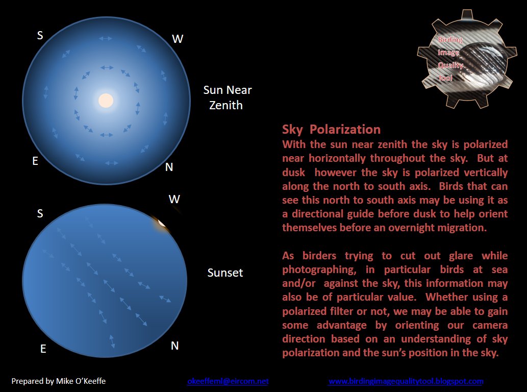 Birding Image Quality Tool Birds and Light Polarization